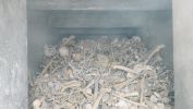 PICTURES/France - Douaumont Ossuary - Verdun/t_Douaumont Ossuary - Bones1.jpg